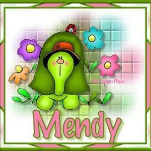 Meet your Posher, Mendy